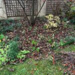 paysagiste entretien jardin 78