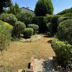 paysagiste ecquevilly entretien jardin tonte pelouse nettoyage 2