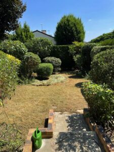 paysagiste ecquevilly entretien jardin tonte pelouse nettoyage 2