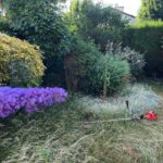 paysagiste ecquevilly entretien jardin tonte pelouse nettoyage 6