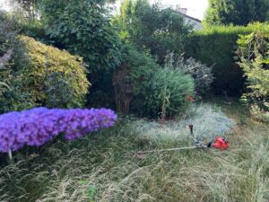 paysagiste ecquevilly entretien jardin tonte pelouse nettoyage 6