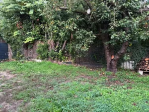 paysagiste andresy 78570 1