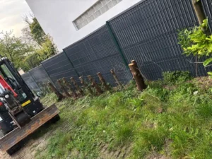 paysagiste andresy 78570 2