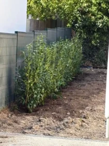 paysagiste andresy 78570 5