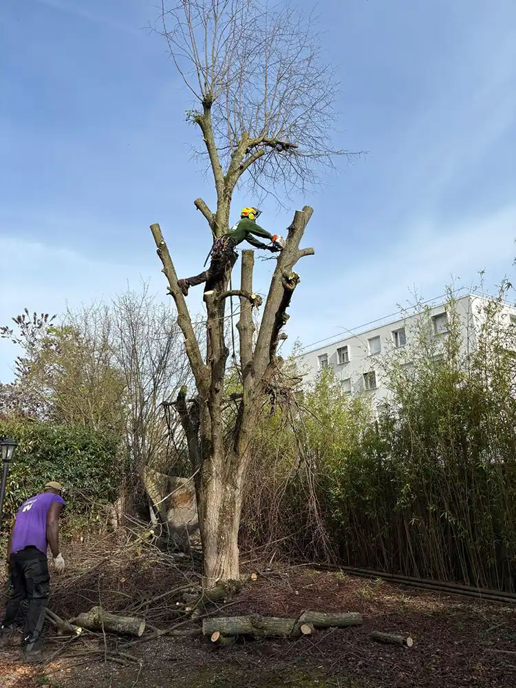 paysagiste-verneuil-sur-seine